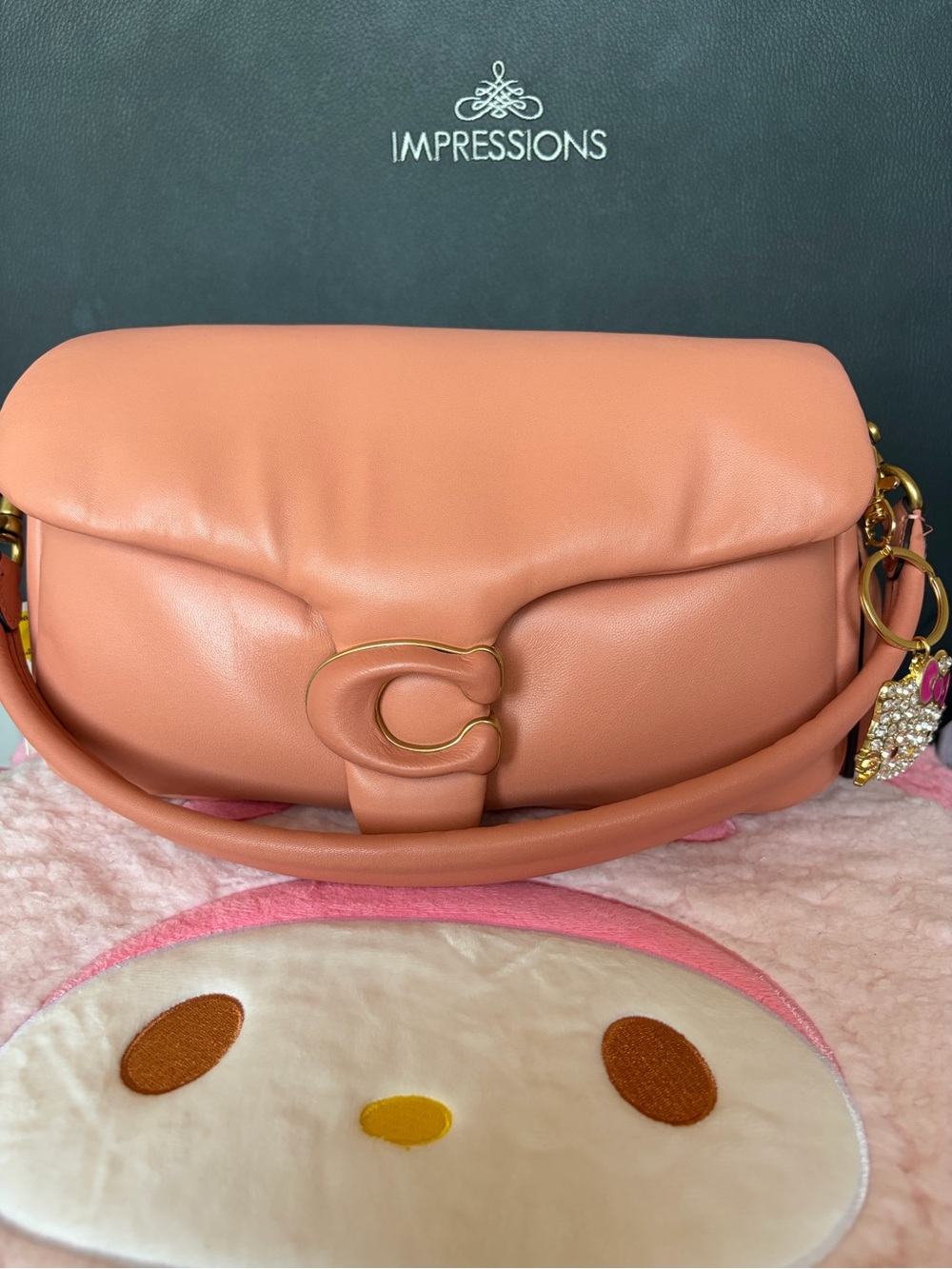 coach light coral pillow tabby 26